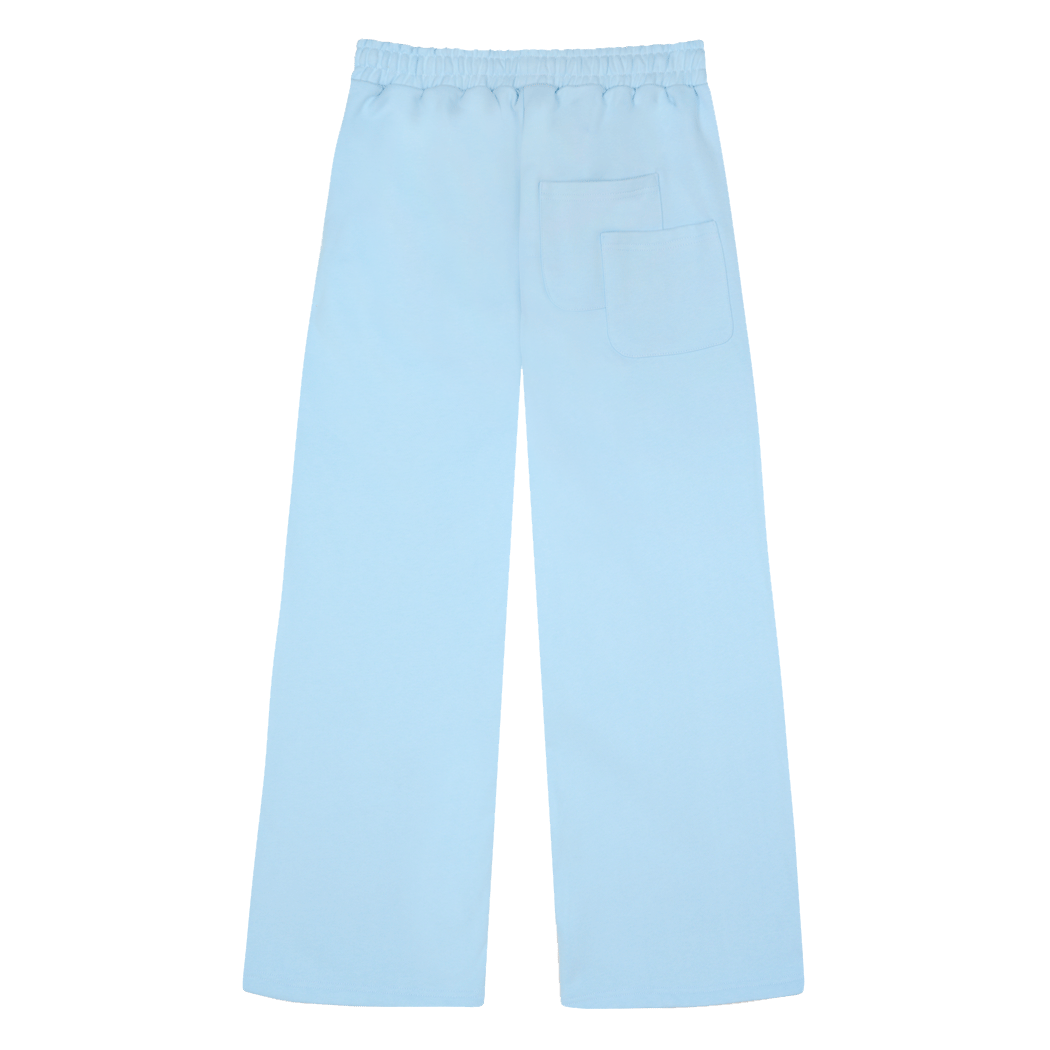 BLUE POWDER INSIGNIA PANTS