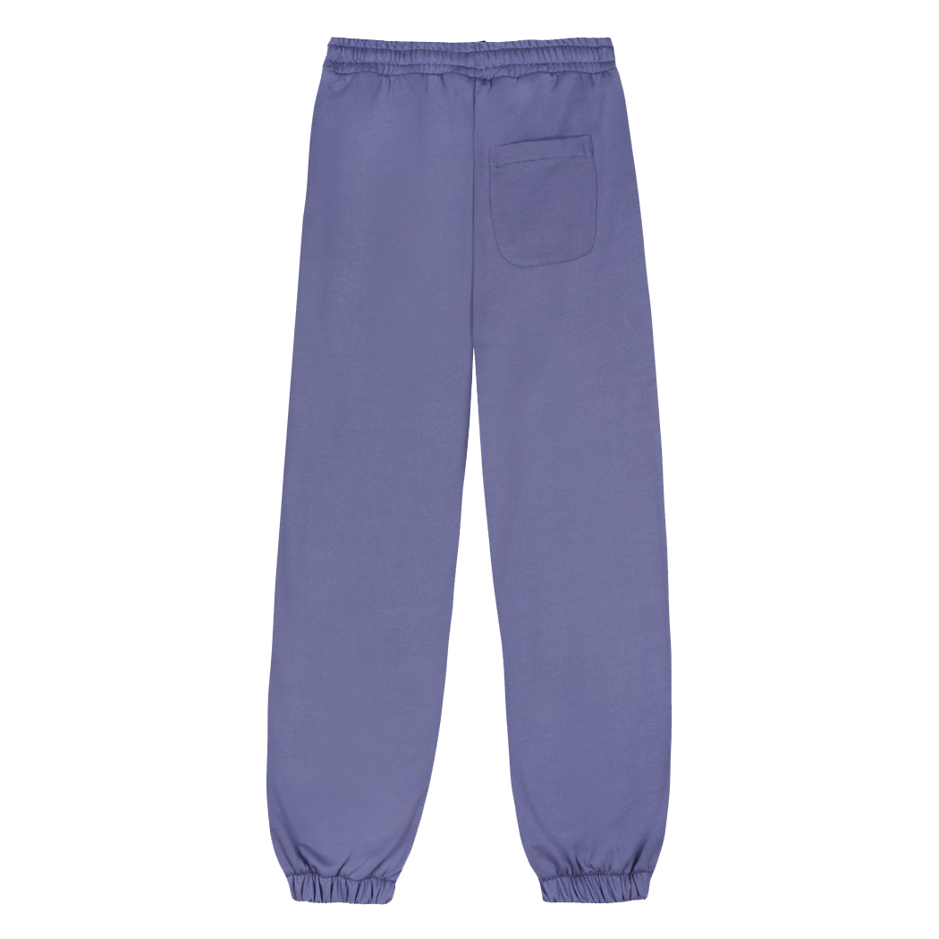PURPLE ENDS PANTS