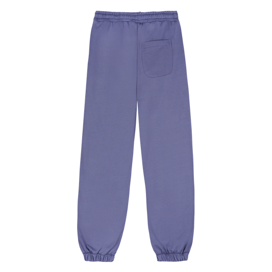 PURPLE ENDS PANTS
